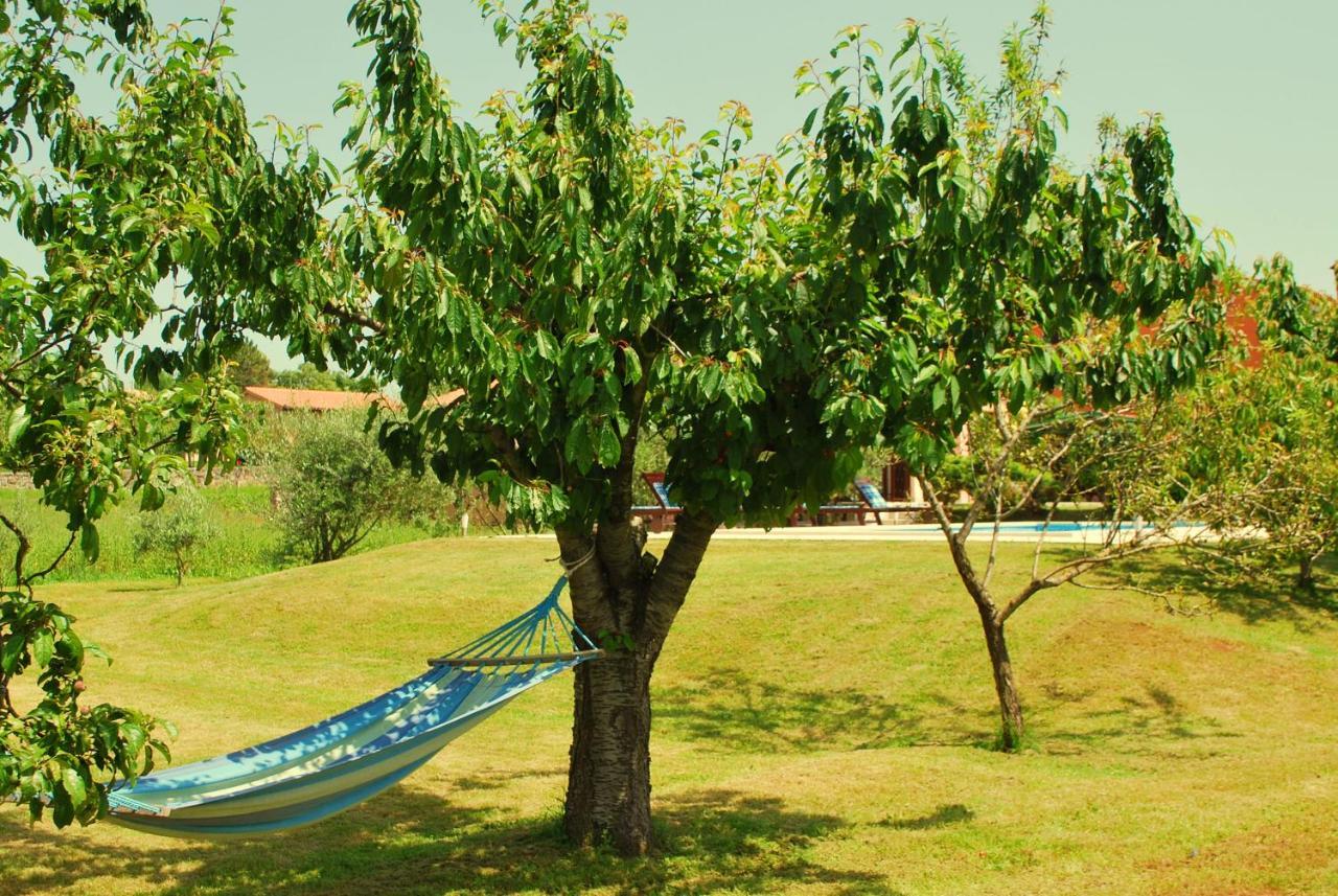 Villa Dorina Barban Zewnętrze zdjęcie