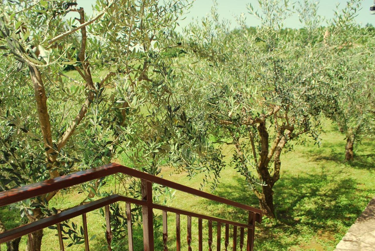 Villa Dorina Barban Zewnętrze zdjęcie