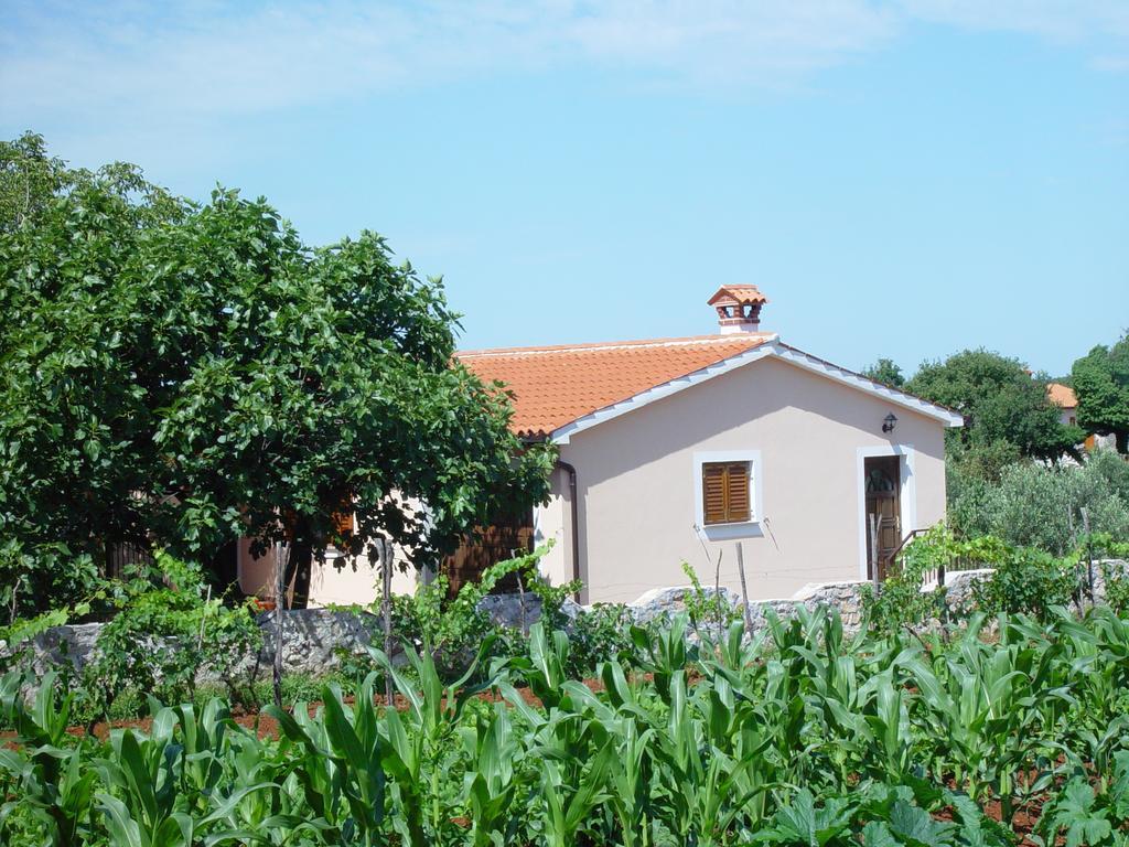Villa Dorina Barban Pokój zdjęcie